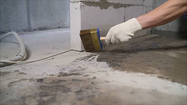 24/7 Emergency Exterior Waterproofing experts in Wilsonville, AL